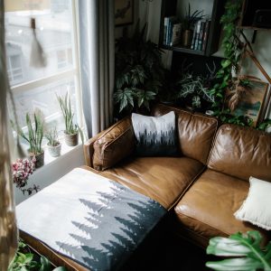 tentree Organic Cotton Juniper Blanket