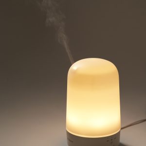 Vitruvi Glow Diffuser and Essential Oil Bundle Set