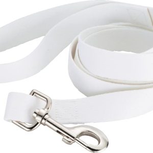 Full Color 1" Wide Premium Pet Leash